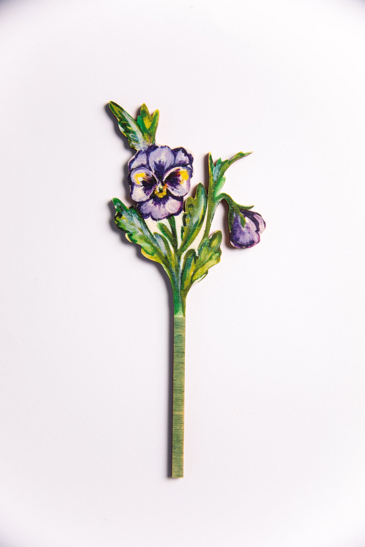 Pansy ~ Single Wooden Stem