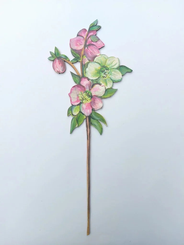 Hellebore Wooden Single Stem